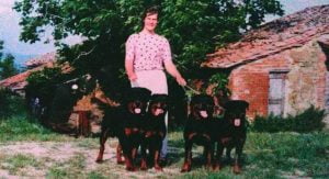 Yvonne con i suoi Rottweiler del Cavaliere Nero, l'intervista di FEED-0
