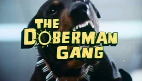 Copertina del film "La gang dei Doberman"