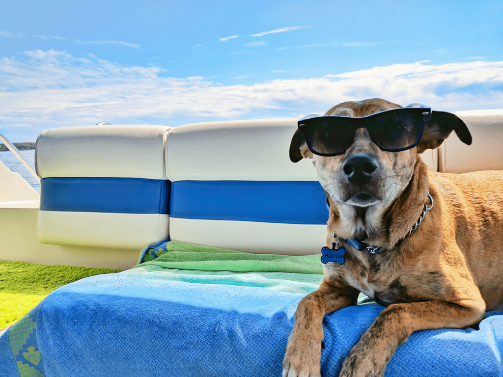 cane in vacanza con passaporto canino